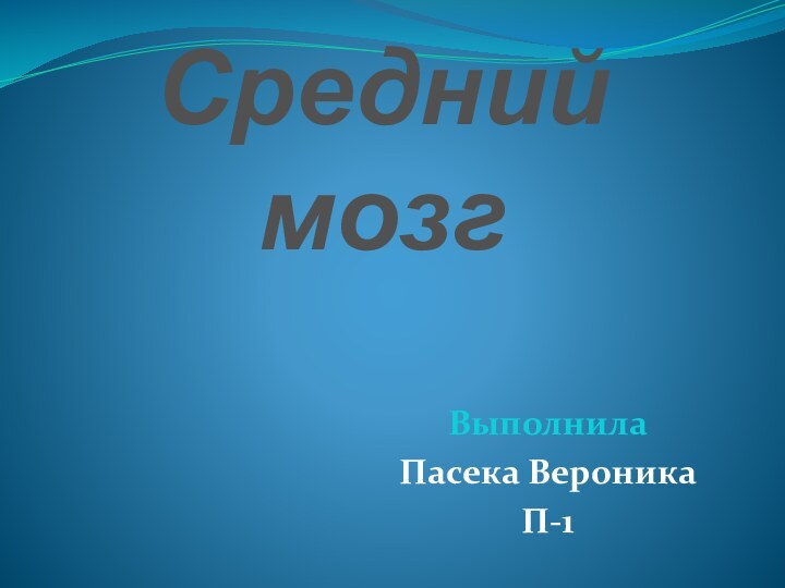 Средний мозгВыполнилаПасека ВероникаП-1