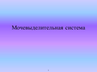 Мочевыделительная система