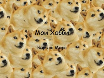 Мои Хобби