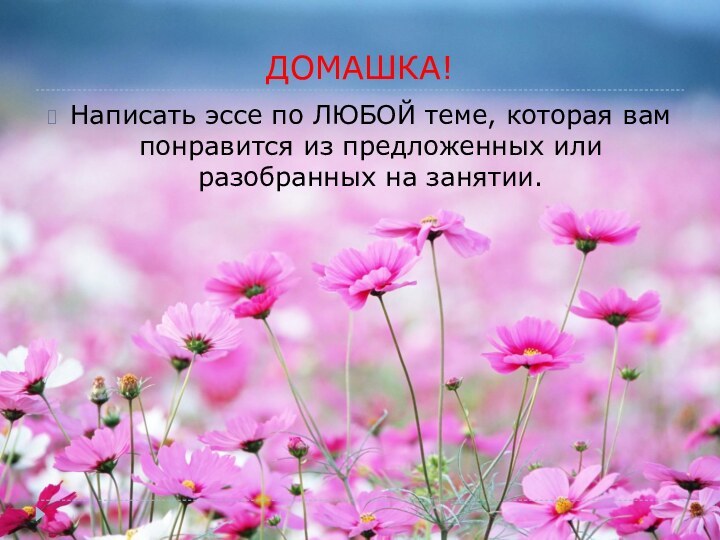 ДОМАШКА!Написать эссе по ЛЮБОЙ теме, которая вам понравится из предложенных или разобранных на занятии.