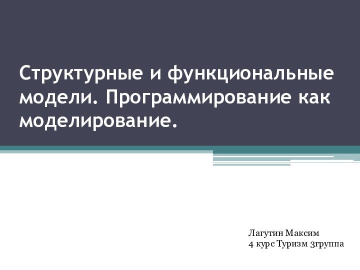 Структурные и функциональные модели. Программирование как моделирование.Лагутин Максим 4 курс Туризм 3группа