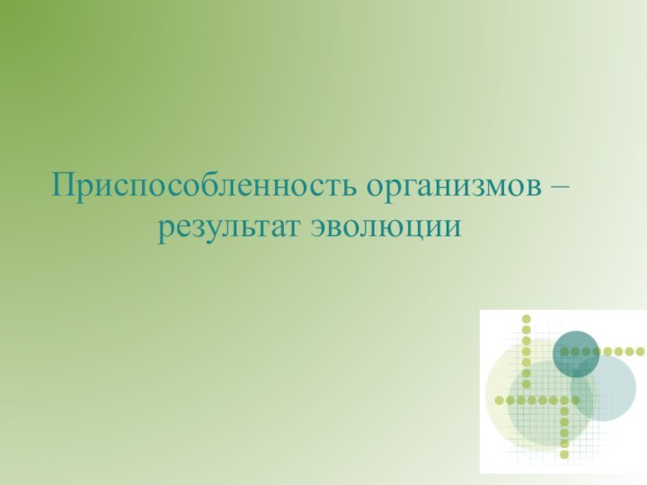 Приспособленность организмов – результат эволюции