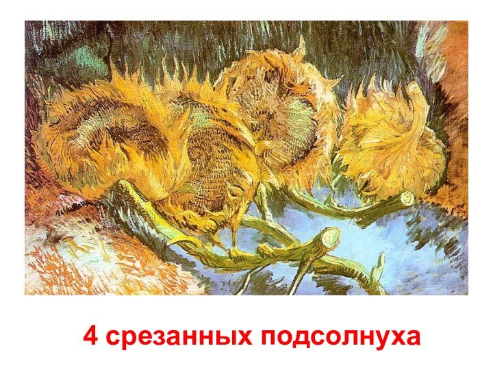 4 срезанных подсолнуха