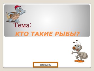 Кто такие рыбы