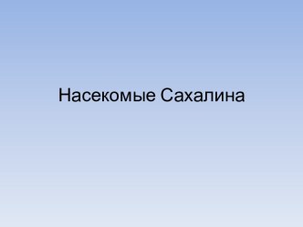 Насекомые Сахалина