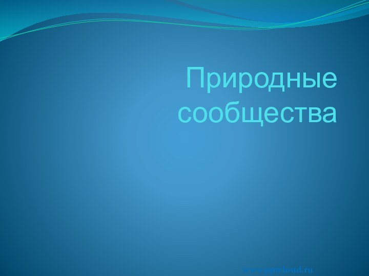 Природные сообществаwww.