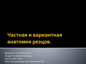 Частная и вариантная анатомия резцов.