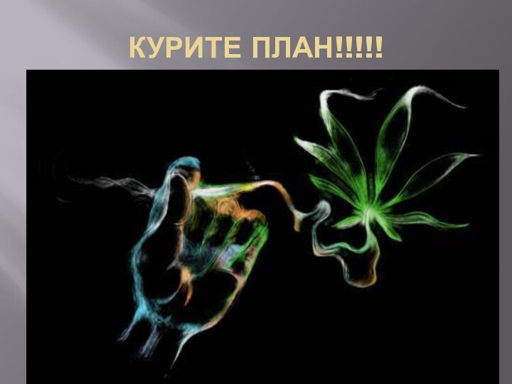 КУРИТЕ ПЛАН!!!!!