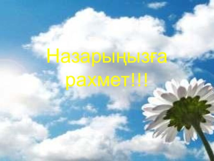 Назарыңызға рахмет!!!