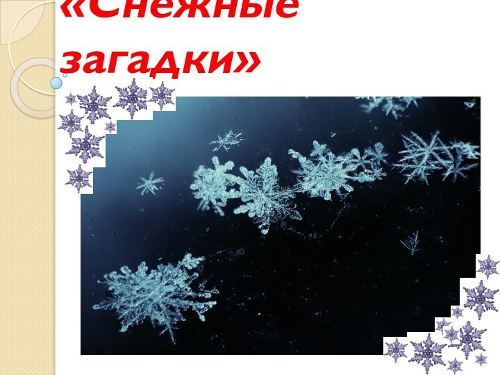 «Снежные загадки»