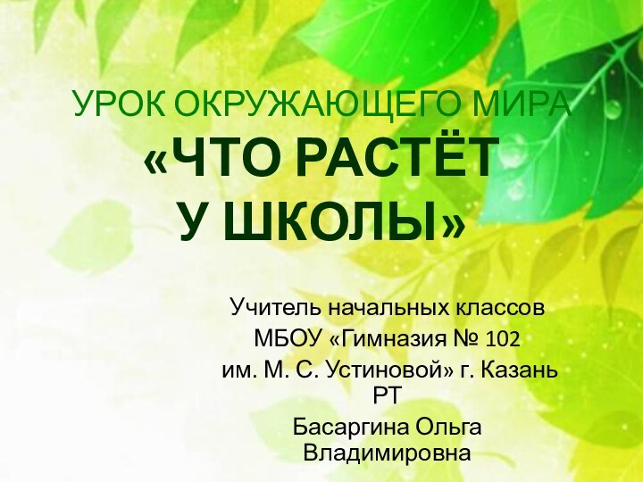 Учитель начальных классов МБОУ «Гимназия № 102 им. М. С. Устиновой» г.