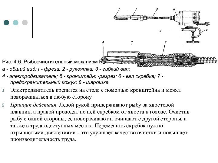 Рис. 4.6. Рыбоочистительный механизм РО-1:а - общий вид: I - фреза; 2