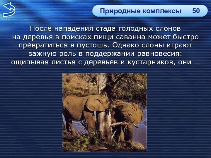 После нападения стада голодных слонов на деревья в поисках пищи саванна может