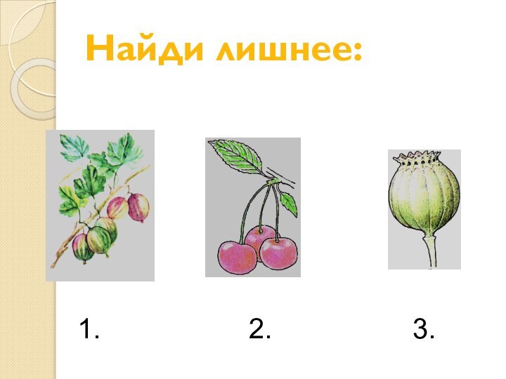 Найди лишнее:   1.