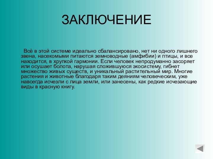 ЗАКЛЮЧЕНИЕ	Всё в этой системе идеально сбалансировано, нет ни одного лишнего звена, насекомыми