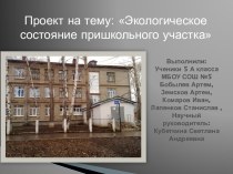 Экологическое состояние пришкольного участка