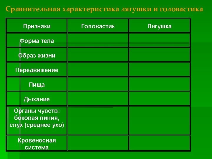 Сравнительная характеристика лягушки и головастика