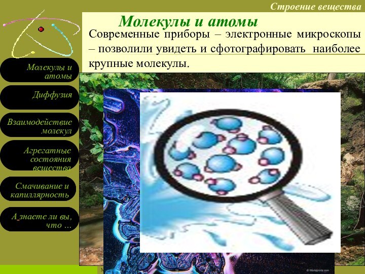 МОУ «Муслюмовская ООШ»Современные приборы – электронные микроскопы – позволили увидеть и сфотографировать