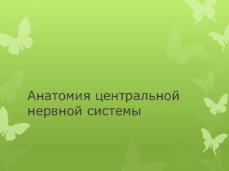 Анатомия центральной нервной системы