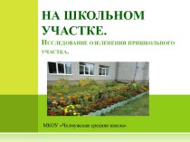 На школьном участке.Исследование озеленения пришкольного участка.