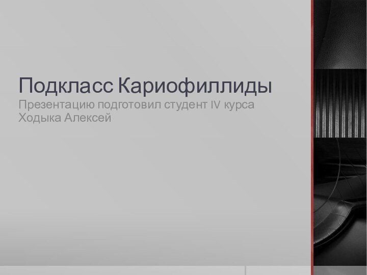 Подкласс КариофиллидыПрезентацию подготовил студент IV курса Ходыка Алексей