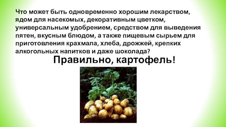 Что может быть одновременно хорошим лекарством, ядом для насекомых, декоративным цветком, универсальным