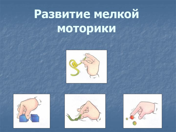 Развитие мелкой моторики