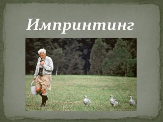 Импринтинг