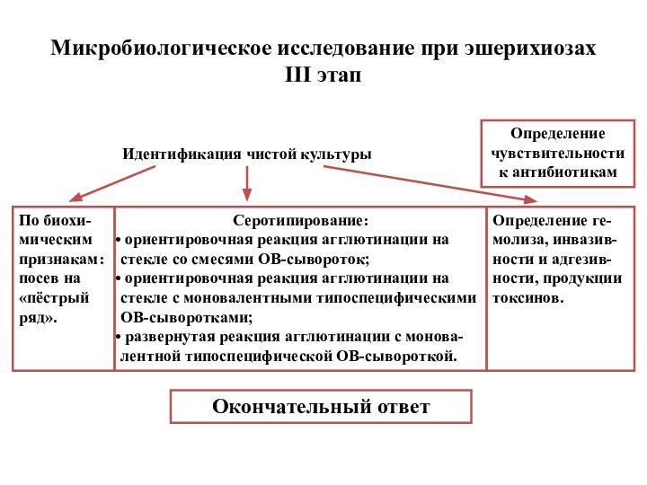 Микробиологическое исследование при эшерихиозах III этапИдентификация чистой культурыОпределение чувствительности к антибиотикамСеротипирование: ориентировочная