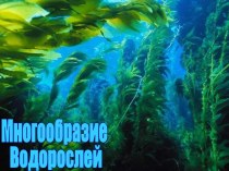 Многообразие Водорослей