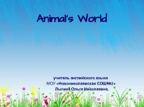 Animal’s world