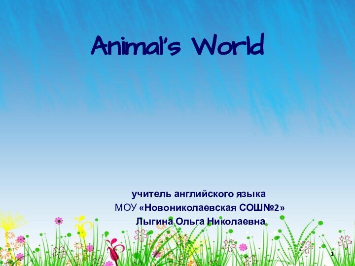 Animal’s World