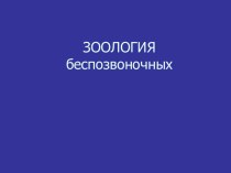 Зоология беспозвоночных