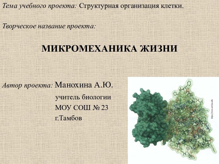 Тема учебного проекта: Структурная организация клетки.Творческое название проекта:МИКРОМЕХАНИКА ЖИЗНИАвтор проекта: Манохина А.Ю.