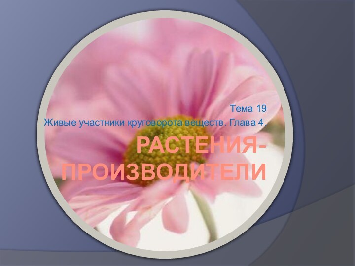 Растения-производителиТема 19Живые участники круговорота веществ. Глава 4.