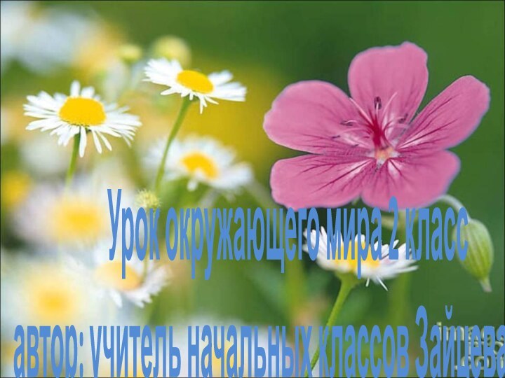 Урок окружающего мира 2 класс автор: учитель начальных классов Зайцева Е. Н.