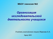 Организация исследовательской деятельности учащихся