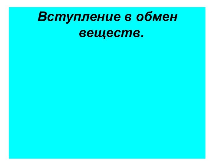 Вступление в обмен веществ.