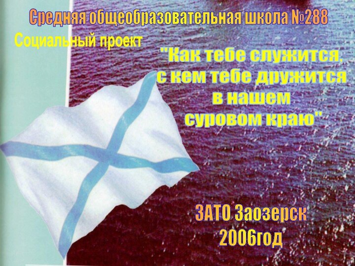 Средняя общеобразовательная школа №288 Социальный проект