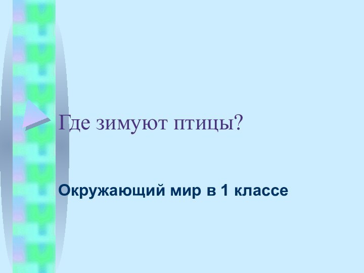 Где зимуют птицы?Окружающий мир в 1 классе