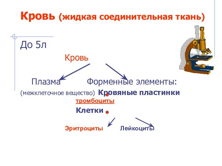 Кровь (жидкая соединительная ткань) До 5л				Кровь			Плазма			Форменные элементы:(межклеточное вещество)	Кровяные пластинки	 						тромбоциты					Клетки							Эритроциты		Лейкоциты