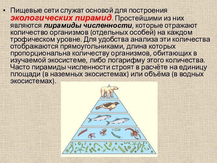 Пищевые сети служат основой для построения экологических пирамид. Простейшими из них являются