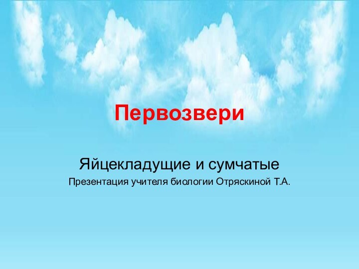 Первозвери Яйцекладущие и сумчатыеПрезентация учителя биологии Отряскиной Т.А.