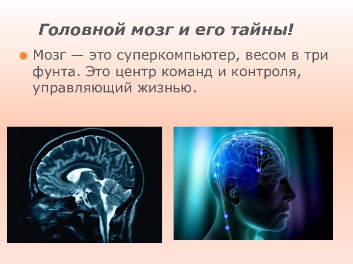 Головной мозг и его тайны!Мозг — это суперкомпьютер, весом в три фунта.