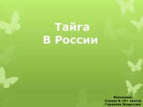 Тайга в России