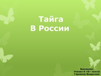 Тайга в России