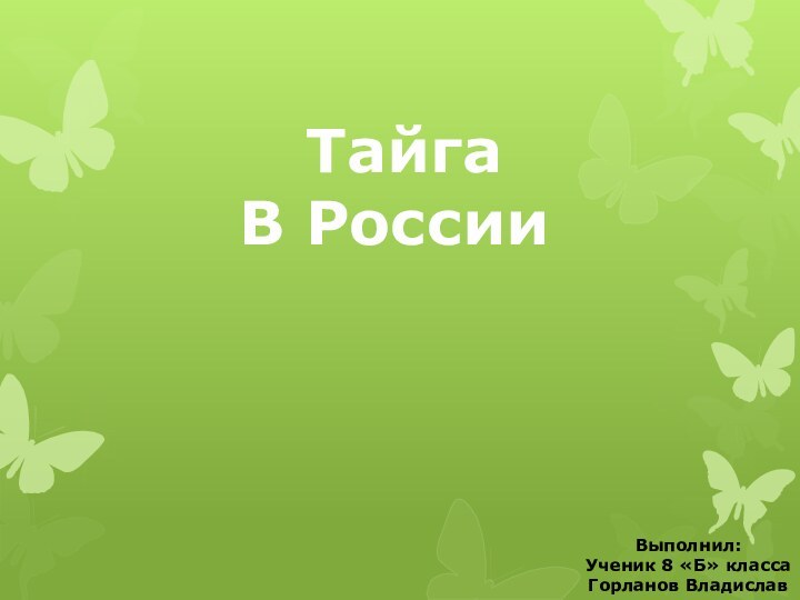 ТайгаВ РоссииВыполнил:Ученик 8 «Б» классаГорланов Владислав