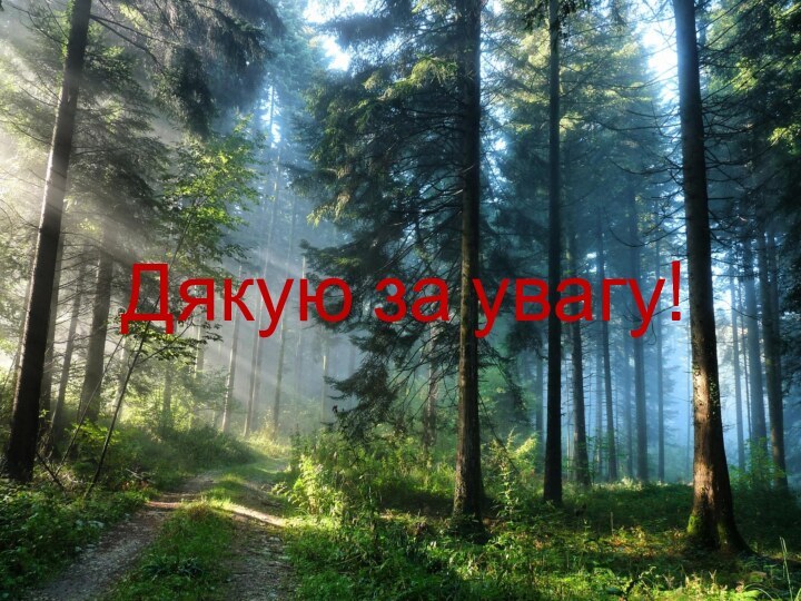 Дякую за увагу!