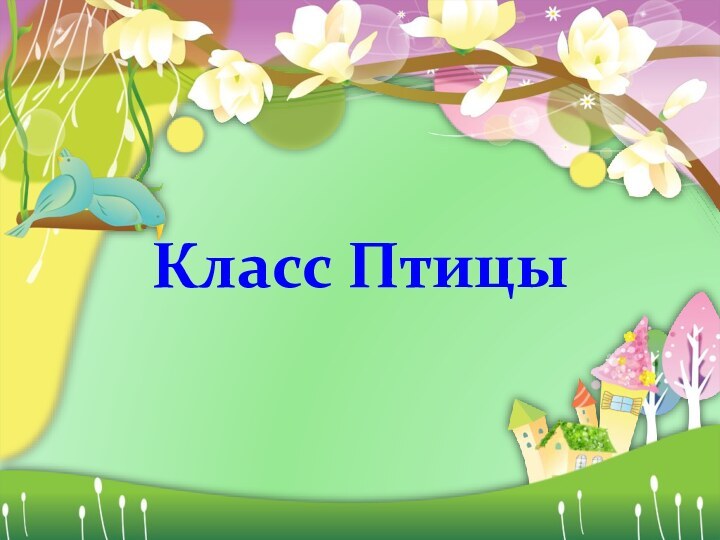 Класс Птицы