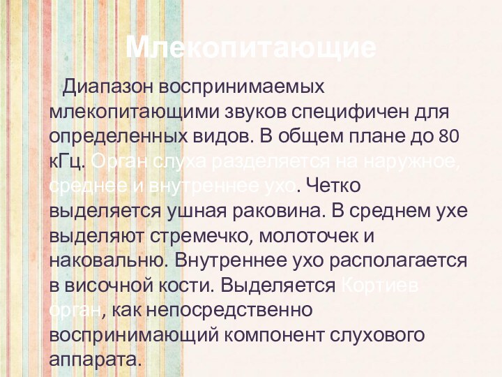 Млекопитающие    Диапазон воспринимаемых млекопитающими звуков специфичен для определенных видов.